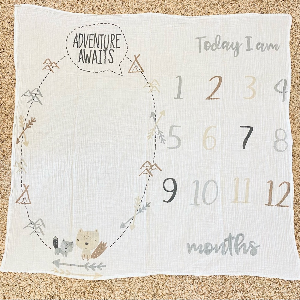 Gerber Baby Monthly Milestone Blanket